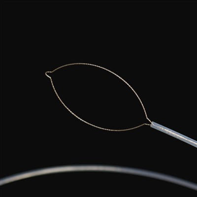 ຄາງກະໄຕ