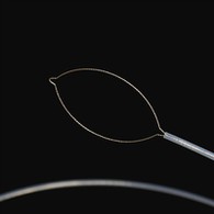 ຄາງກະໄຕ